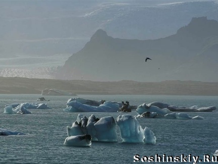 Ледниковая лагуна с айсбергами
