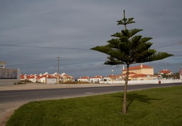 Penishe, Португалия