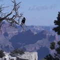 Grand Canyon, Аризона