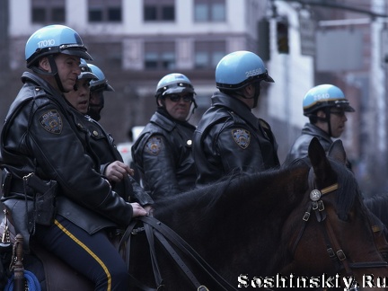 Нью Йорк, конная полиция