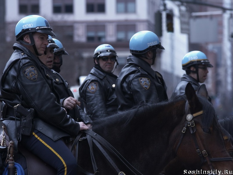 Нью Йорк, конная полиция